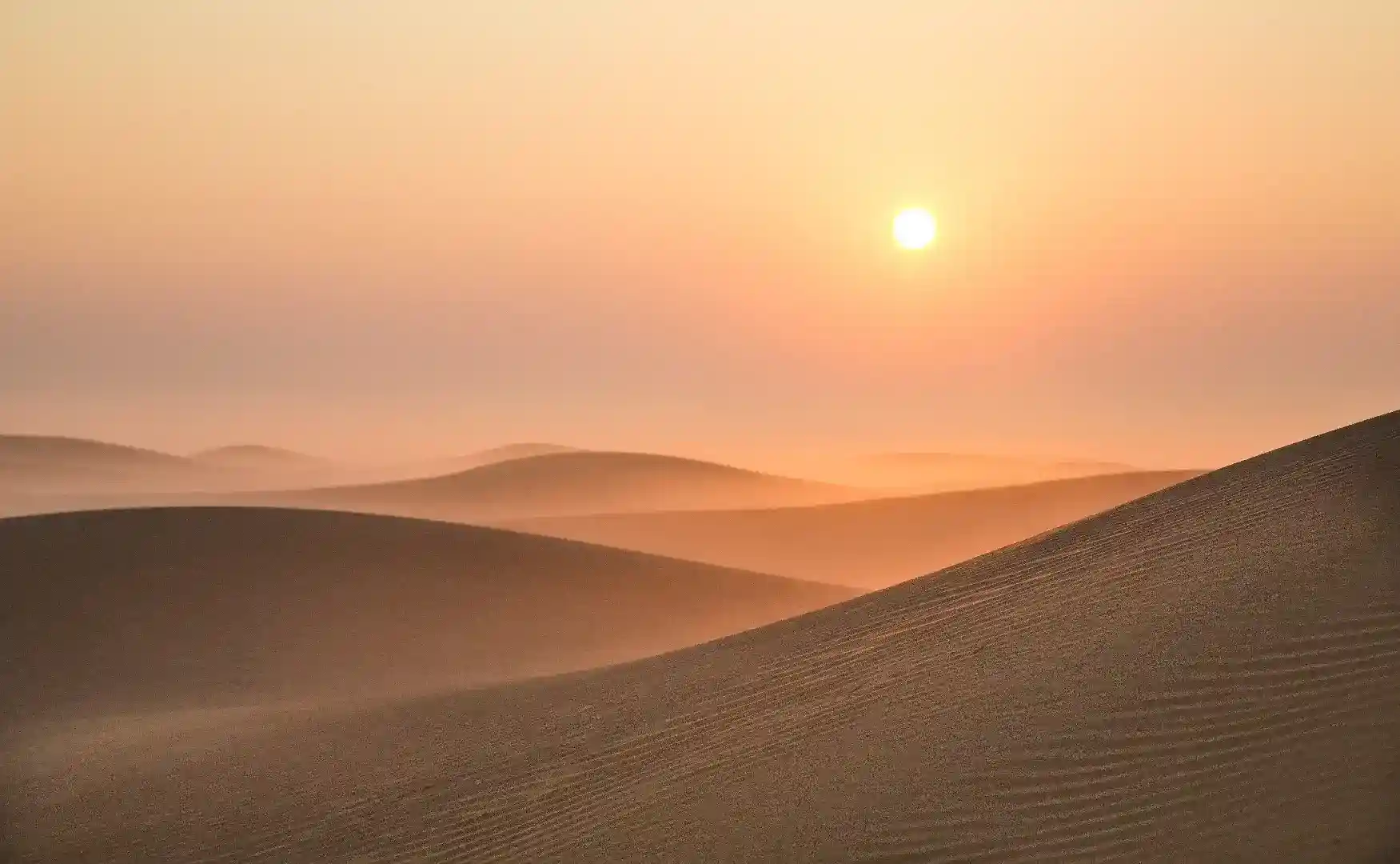 desert with sun